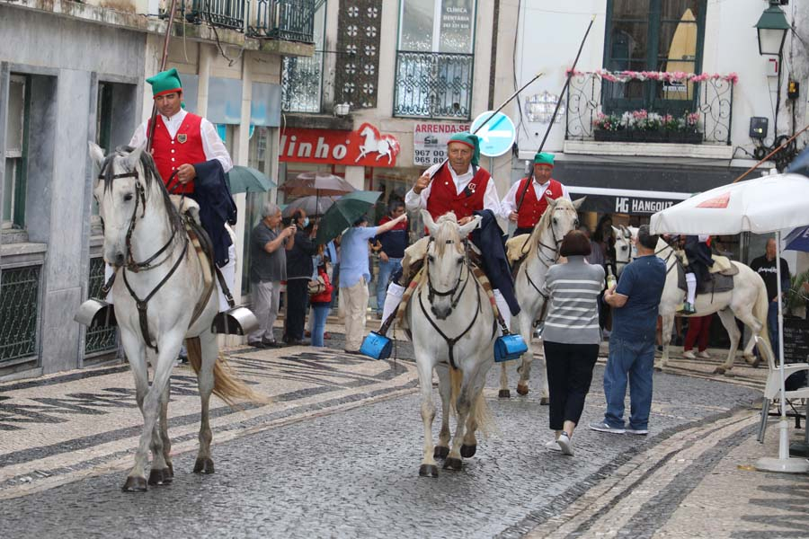 Santarém: Desfile de Cabrestos e Campinos a Cavalo este sábado