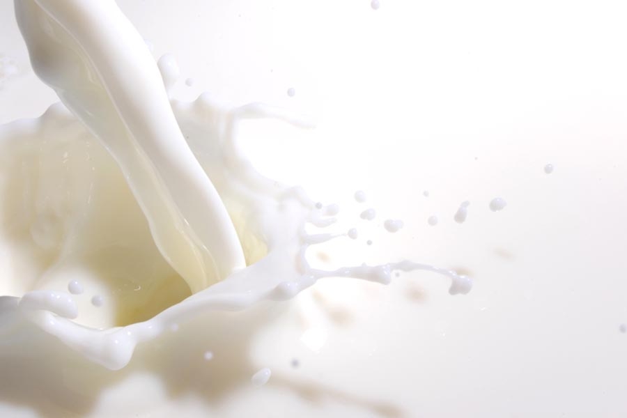 Produtores dizem que subida do preço do leite reflete “aumento brutal” dos custos de produção