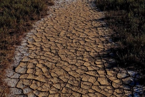Quase todo o território em seca severa em maio, o mais quente desde 1931